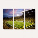 University of Oregon Ducks Football Team Print - Eugene