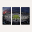 Penn State University Nittany Lions Football Team Print -