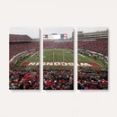 Wisconsin Badgers Team Print Canvas - Madison Camp Randall