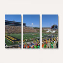 University of Missouri Tigers Football Team Print - Columbia