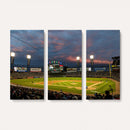 Chicago White Sox Baseball Team Print Canvas- Guaranteed