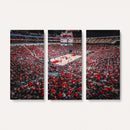 Louisville Cardinals Basketball Print Canvas - Louisville