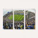 Boca Juniors Soccer Team Print Wall Art - Buenos Aires