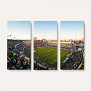 Boca Juniors Soccer Team Print - Buenos Aires Bombonera