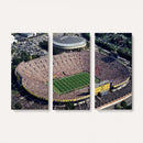 Michigan Wolverines Football Team Print - Ann Arbor Michigan