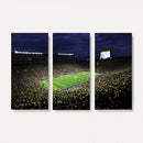 Michigan Wolverines Football Canvas Wall Decor, Football