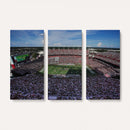 South Carolina Gamecocks Football Team Print - Columbia