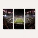 Eagles Field Stadium Wall Art - Philadelphia Eagles Football