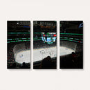 American Airlines Center Dallas Stars Wall Art Canvas Print