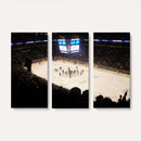 Canada Life Centre Wall Art | Winnipeg Jets Hockey Team