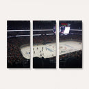 Honda Center California Anaheim Ducks Hockey Stadium Wall