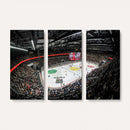 Vaudoise Lausanne Ice Hockey Arena Stadium Wall Art Canvas,