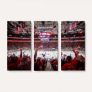 Carolina Hurricanes Ice Hockey Stadium Wall Art, Carolina
