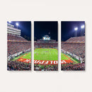 NC State Wolfpack Canvas Print - Raleigh Carter-Finley