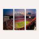 NC State Wolfpack Football Team Print - Raleigh