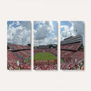 NC State Wolfpack Football Team Print Canvas- Raleigh