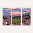 Carter-Finley Stadium Art Sunset Game Triple Canvas Wall Art