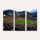 Colorado Buffaloes Canvas Print - Boulder Folsom Field
