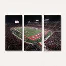 Houston Cougars Football Team Print - Houston TDECU Stadium