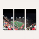 Houston Cougars Football Team Print - Houston TDECU Stadium