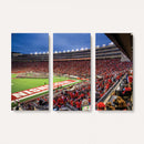 Wisconsin Badgers Football Team Print - Madison Camp Randall