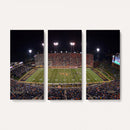 Demon Deacons Print Canvas, Football Team Print -