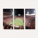 University of Louisville Cardinals Football Team Print -