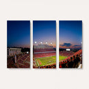 Wolfpack Football Team Wall Art Print - Raleigh