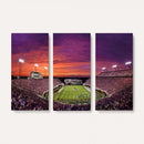 East Carolina University Pirates Football Print Canvas-