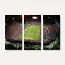 Florida Atlantic University Owls Football Team Print - Boca