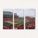 University of Illinois Fighting Illini Football Team Print -