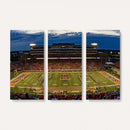 University of Illinois Fighting Illini Football Team Print -