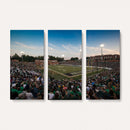 University of Charlotte 49ers Football Team Print -