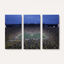 University of Michigan Wolverines Football Team Print - Ann