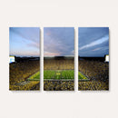 University of Michigan Wolverines Football Team Print - Ann
