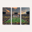 University of Michigan Wolverines Print Canvas, Football