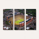 University of Michigan Wolverines Football Team Print - Ann