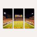 ASU Sun Devils Football Team Print - Phoenix Mountain