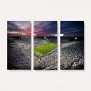 Penn State Nittany Lions Football Team Print - University