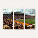 Central Michigan University Chippewas Football Team Print -