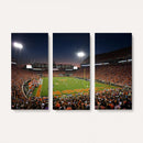 Clemson University Tigers Art Print, Football Team Print -