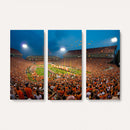 Clemson University Tigers Football Team Print - Clemson