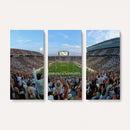 Michigan State Spartans Football Team Art Print - East
