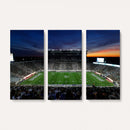 Michigan State Spartans Football Team Print - East Lansing