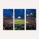 Michigan State Spartans Football Team Print - East Lansing