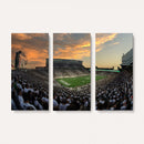 Michigan State Spartans Football Team Print - East Lansing