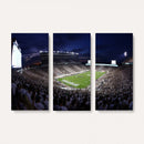 Michigan State Spartans Canvas, Framed Football Team Print -