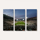 Michigan State Spartans Football Team Print - East Lansing