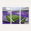 Northwestern University Wildcats Football Team Print -