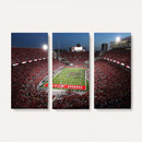 Ohio State University Buckeyes Football Team Print -
